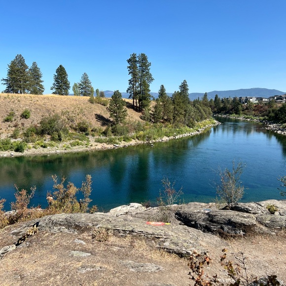 SKATIE Salty Bottom - Honeymoon White (S) - Picture 6 of 6